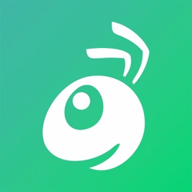 星络蚁