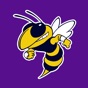 Denham Springs High School app download