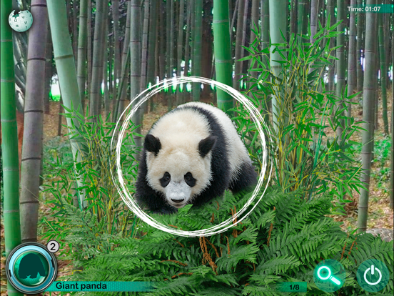 Hidden Animals: Seek and Find iPad screenshot 2 - Games app