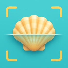 Sea Shell Identifier: Ocelexia