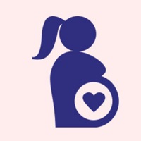 HeyBaby AI Pregnancy Assistant