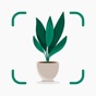 Plantify: Plant Identifier app download