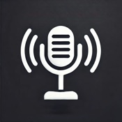Voice Transcriber Talk to Text