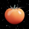 crunchy tomatoes menu scanner icon