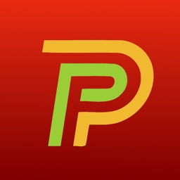 P1 monitor 2024
