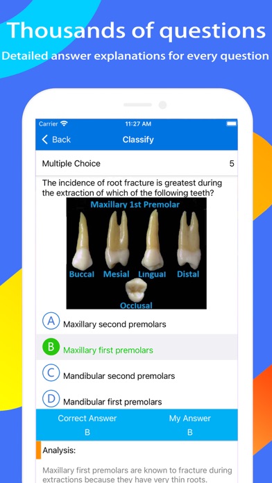 NBDE II Dental Boards Expert Screenshot