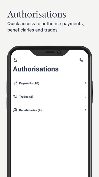 Investec Business Banking Screenshot