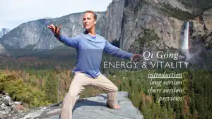 Qi Gong for Energy & Vitality screenshot 1