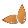 Almendra icon