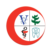 Egyptian Medical Union Service