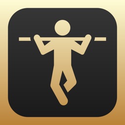 GOLDEN Pull-Ups Pullup Tracker