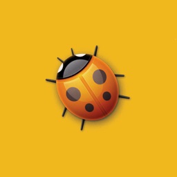 MobileAsso