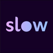 Slow: AI Journal