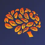 BrainBloom: Brain training app