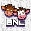 Bullls & Cows icon