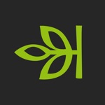 Download Ancestry: Family History & DNA app
