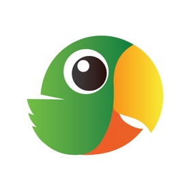 Any Lingo - Chat