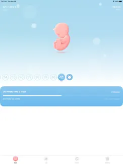 My Pregnancy | Tracker & App iPad image 3