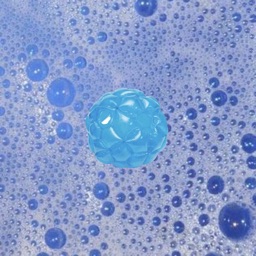 BubbleRobe