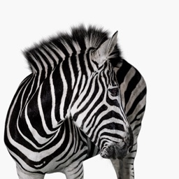 Investec Business Banking