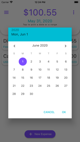 Daily Expense Tracker screenshot