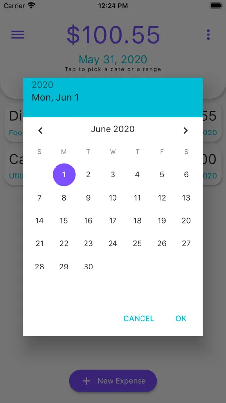 DSS Agile 8
