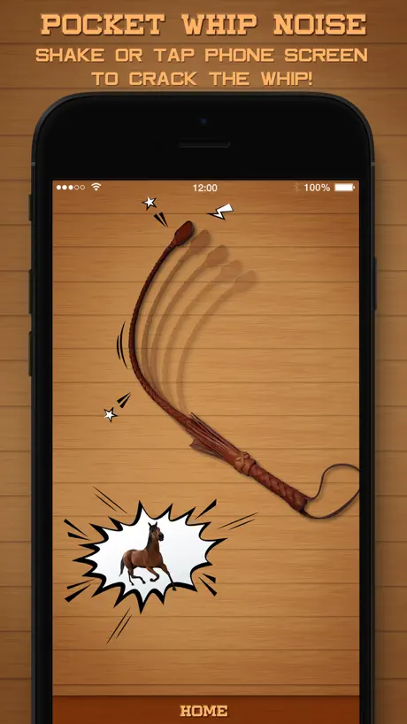 Pocket Whip Noise