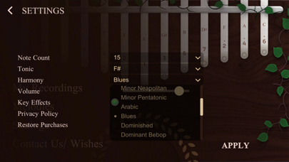 My Kalimba - Relax Meditation Screenshot