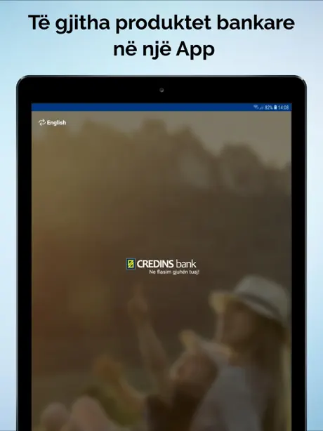 CREDINS online