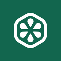 Vitals Vitamins and Supplements