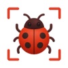 Insect Identification: BuggyID app icon - Education app for iPhone