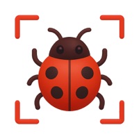 Insect Identification: BuggyID app icon - Education app for iPhone