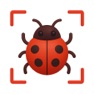 Get Insect Identification: BuggyID for iOS, iPhone, iPad Aso Report