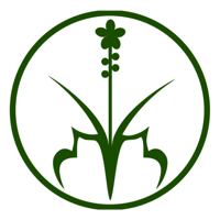 Hương Sạch Tân Nguyên