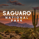 Saguaro National Park Guide