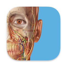 螢幕擷取畫面 (4) 3D Human Anatomy Atlas 2026