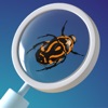 Bug Identifier - Scan With AI icon