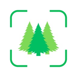 Tree Identifier: AI Scanner