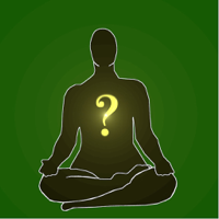 Ramana Maharshi QandA