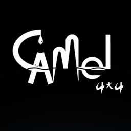 CAMEL ALARM