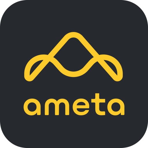 Ameta Drone