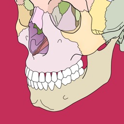 Body coloring book