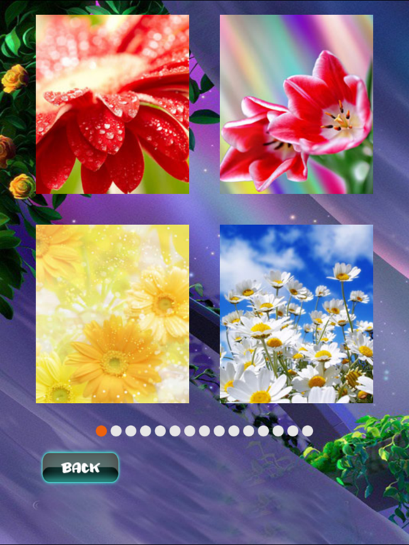 Screenshot #5 pour Spring Jigsaw Puzzles