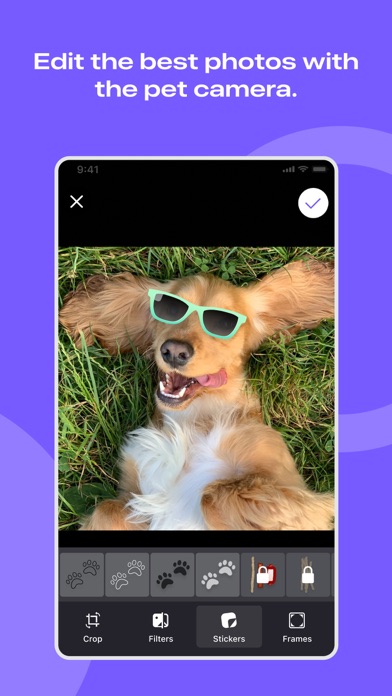 Flockr - Pet Wellness & Health Screenshot