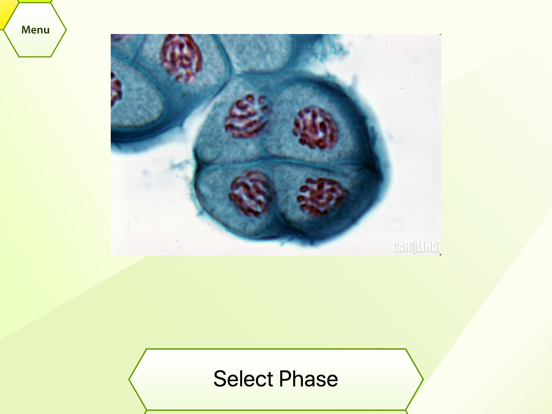 Screenshot #6 pour Plant Histology HD