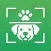 Dog Scanner: Puppy Identifier icon