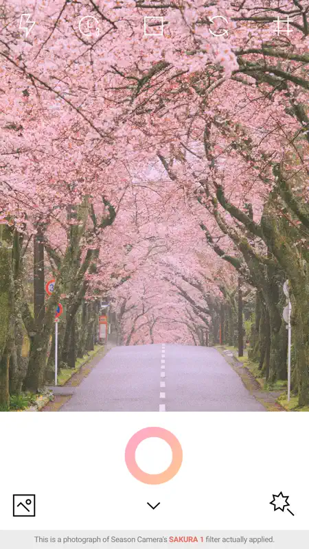 SPRING - Season Camera screenshot 1 of 5