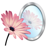 PhotoReflector app icon