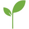 Tazemasa icon
