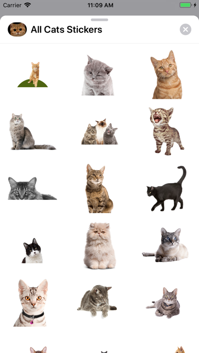 All Cats Stickers screenshot